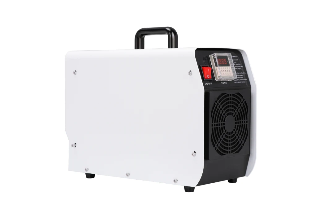 Industrial Commercial Ozone Generator 20g/H 03 Sterilization Machine Air Purifier